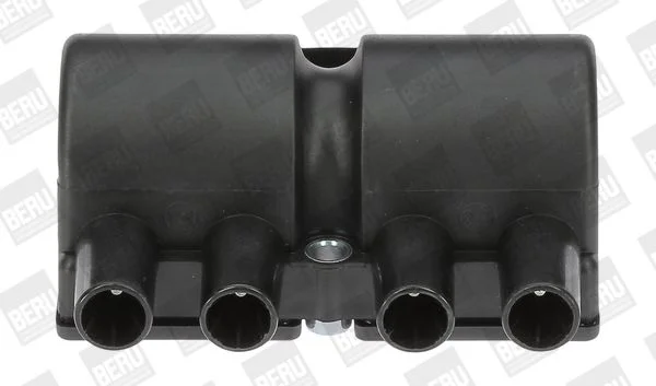 Ritė, uždegimas BorgWarner (BERU) ZS545