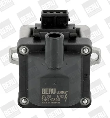 Ritė, uždegimas BorgWarner (BERU) ZSE001
