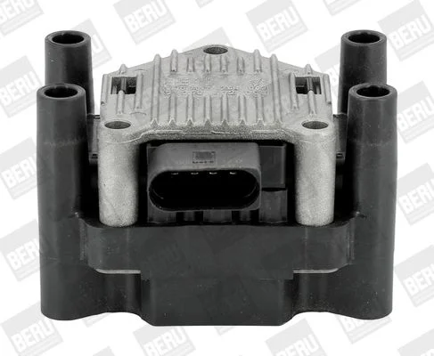 Ritė, uždegimas BorgWarner (BERU) ZSE003