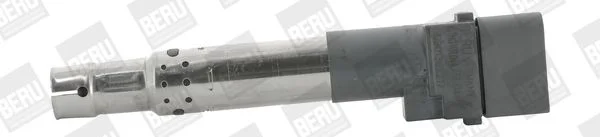 Ritė, uždegimas BorgWarner (BERU) ZSE044