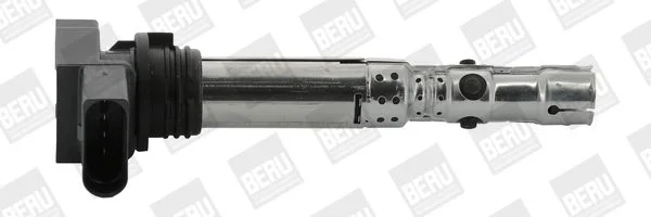 Ritė, uždegimas BorgWarner (BERU) ZSE059