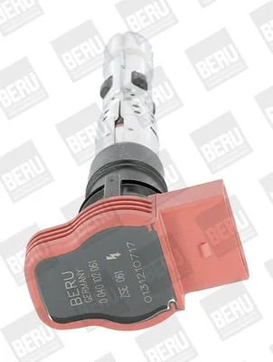 Ritė, uždegimas BorgWarner (BERU) ZSE061