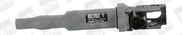 Ritė, uždegimas BorgWarner (BERU) ZSE144