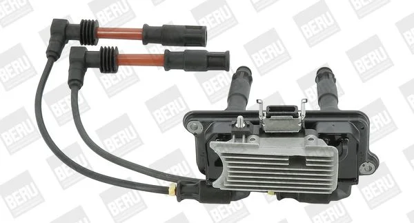 Ritė, uždegimas BorgWarner (BERU) ZSE162