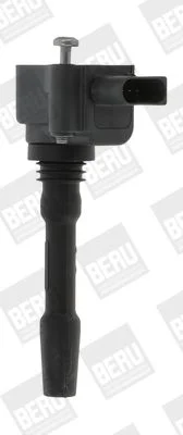 Ritė, uždegimas BorgWarner (BERU) ZSE163
