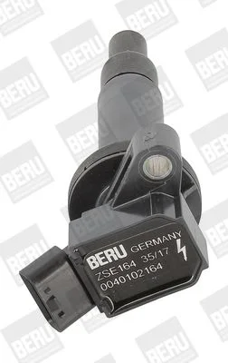 Ritė, uždegimas BorgWarner (BERU) ZSE164