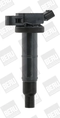 Ritė, uždegimas BorgWarner (BERU) ZSE171