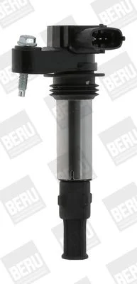Ritė, uždegimas BorgWarner (BERU) ZSE174