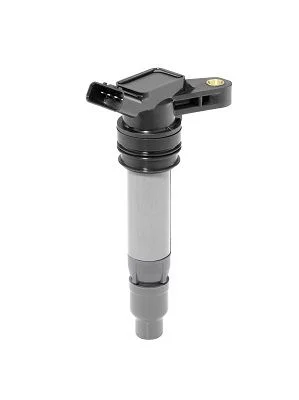 Ritė, uždegimas BorgWarner (BERU) ZSE209
