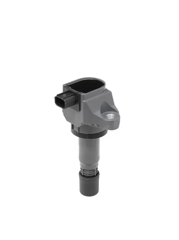 Ritė, uždegimas BorgWarner (BERU) ZSE240