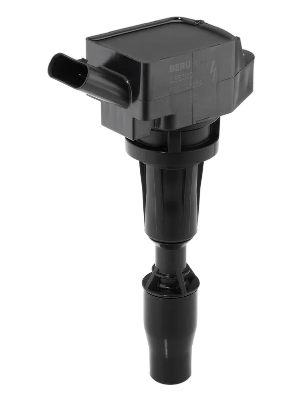 Ritė, uždegimas BorgWarner (BERU) ZSE300