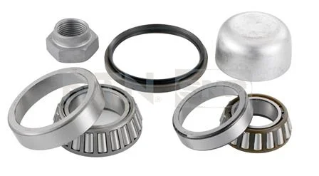 Wheel Bearing Kit SNR R140.25