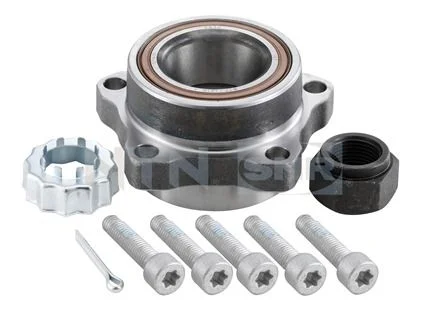 Wheel Bearing Kit SNR R141.09