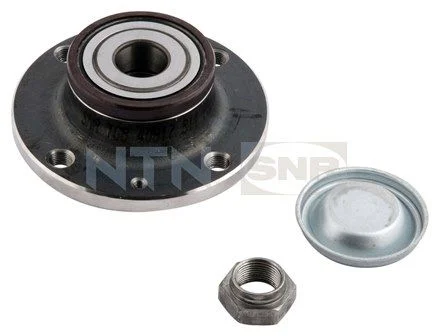Wheel Bearing Kit SNR R166.32