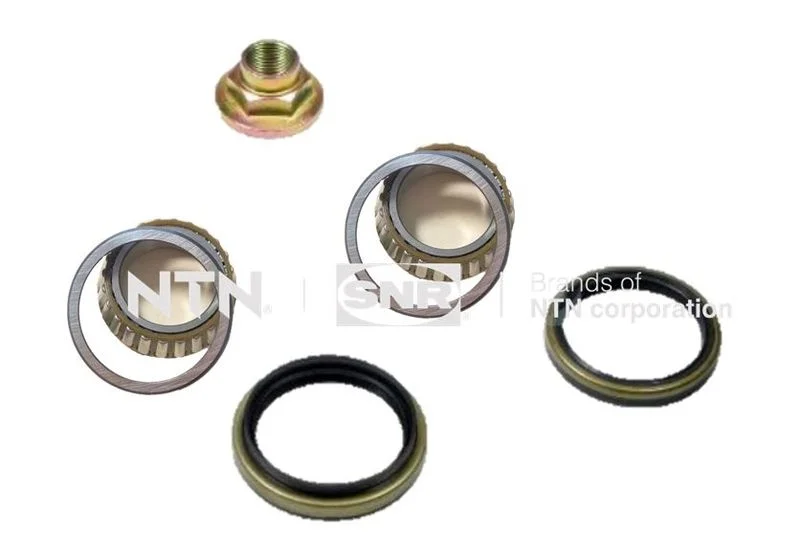 Wheel Bearing Kit SNR R170.26