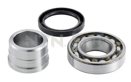 Wheel Bearing Kit SNR R177.23