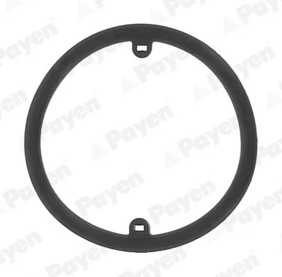 Seal Ring, oil cooler (lubrication) PAYEN KK5686