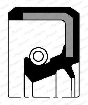 Shaft Seal, differential PAYEN NF791