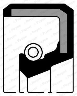 Shaft Seal, differential PAYEN NF841