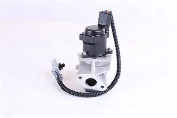 EGR ventil NISSENS 98244