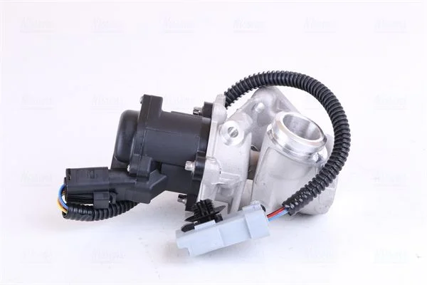 EGR ventil NISSENS 98245