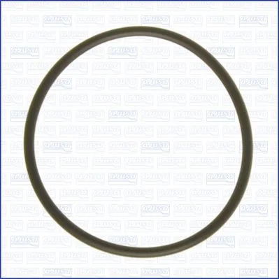 Gasket, vacuum pump AJU 16088000