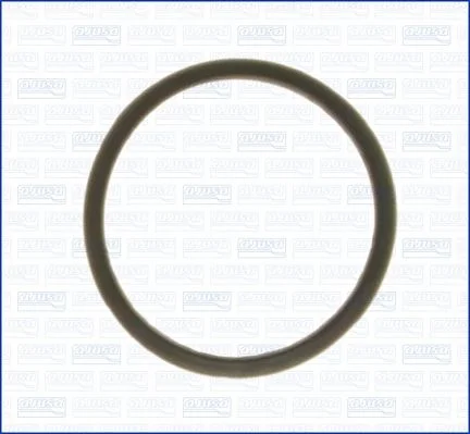Tesnenie, termostat AJUSA 00843000