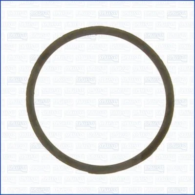 Tesnenie, termostat AJUSA 00963000