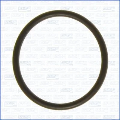 Tesnenie, termostat AJUSA 16072700
