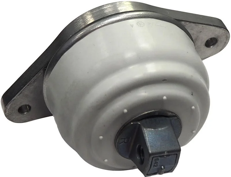 Variklio montavimas CORTECO 49115920