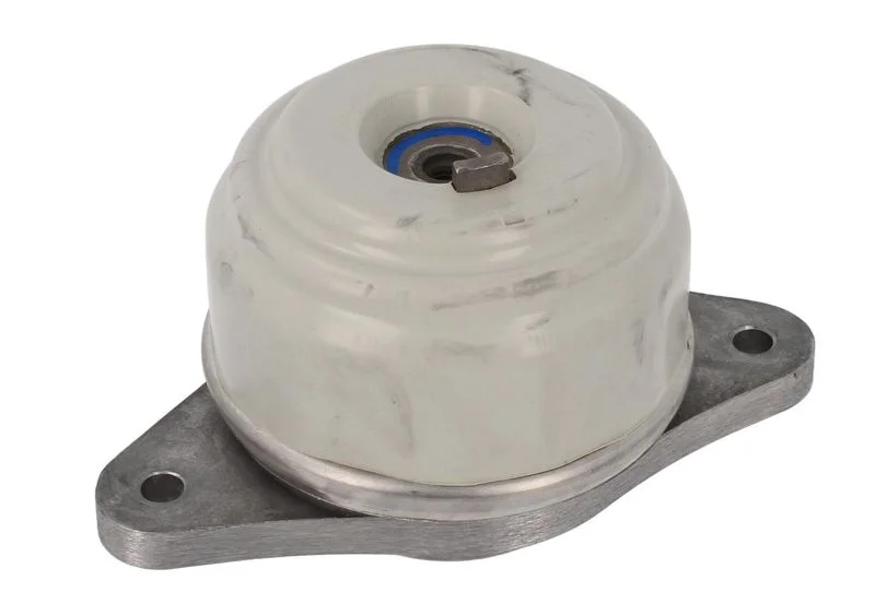 Variklio montavimas CORTECO 80001071