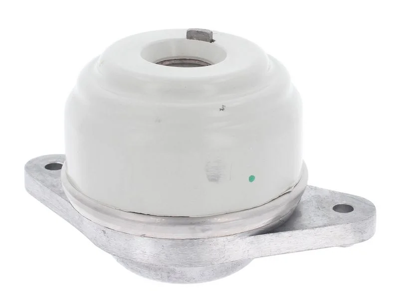 Variklio montavimas CORTECO 80005159