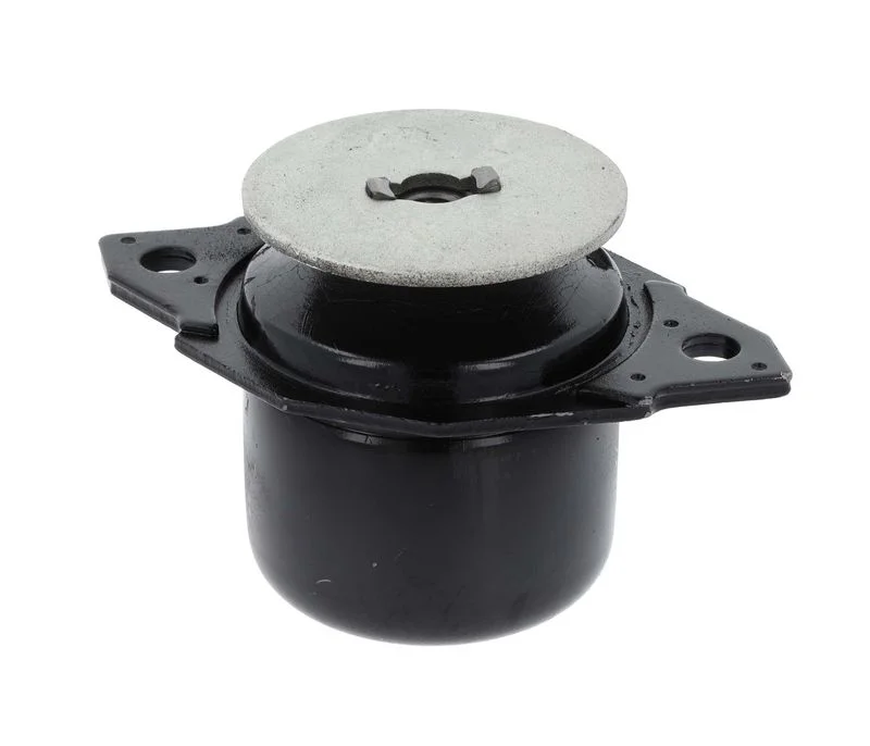 Montavimas, automatinė transmisija CORTECO 21652428