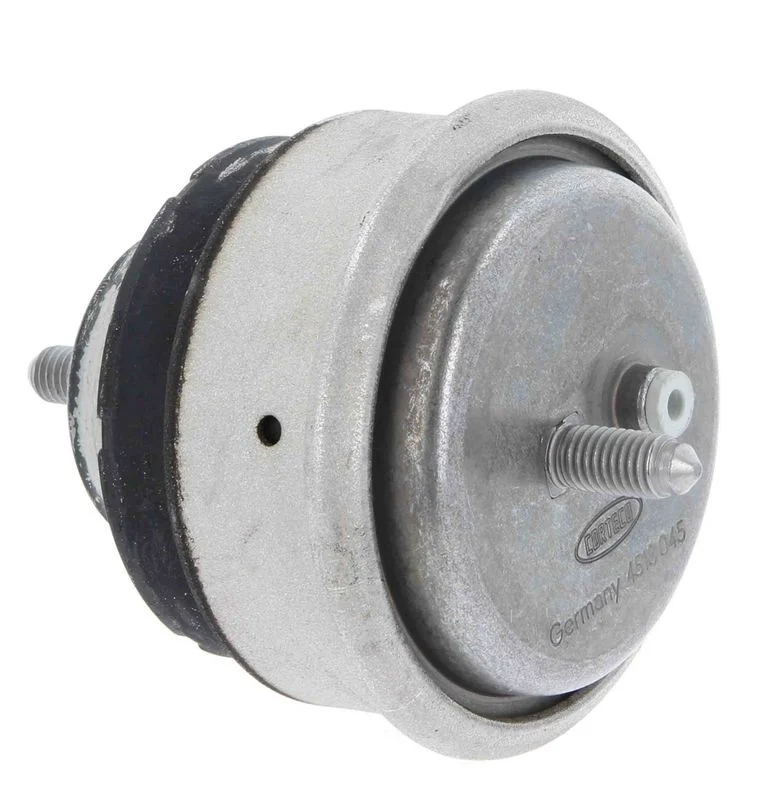 Variklio montavimas CORTECO 21652650