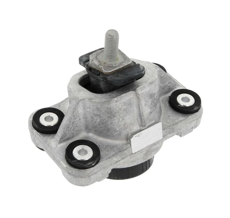 Variklio montavimas CORTECO 49417800