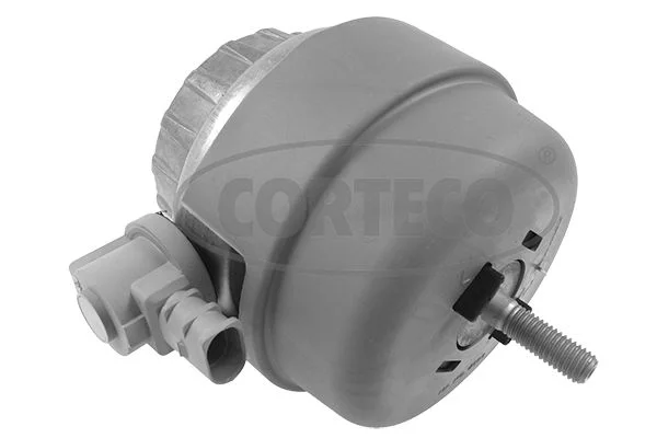 Variklio montavimas CORTECO 49446192