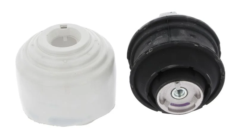 Variklio montavimas CORTECO 80001070