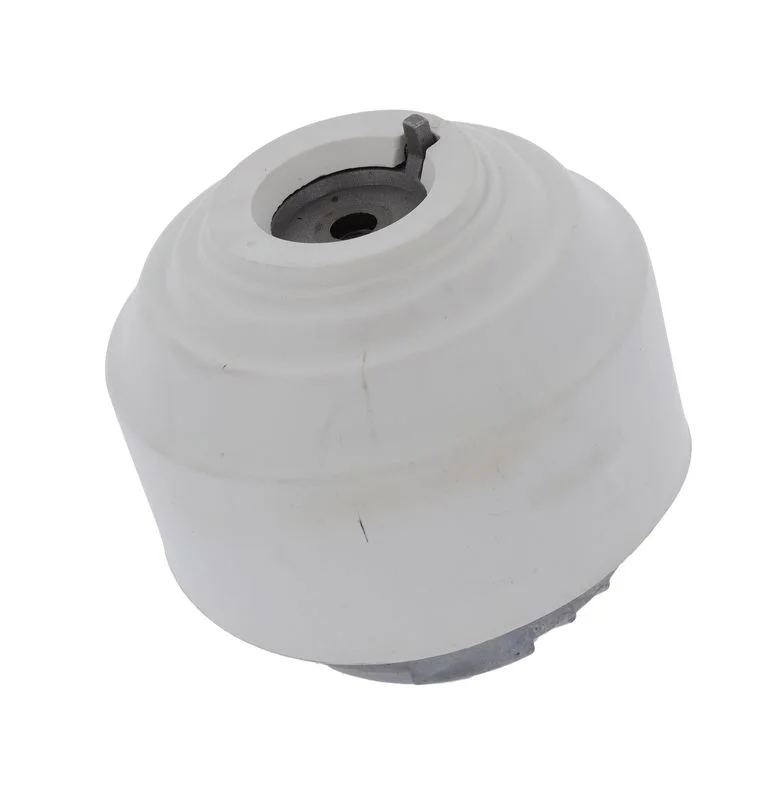 Variklio montavimas CORTECO 80001894