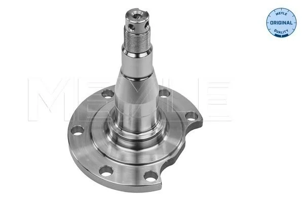 Stub Axle, axle beam MEYLE 100 501 0031