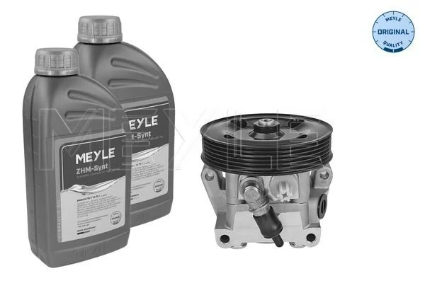 Hydraulic Pump, steering MEYLE 714 631 0025/S