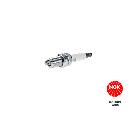 Spark Plug  3536
