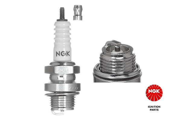 Spark Plug NGK 3010