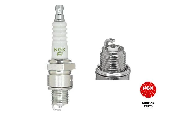 Spark Plug NGK 4495