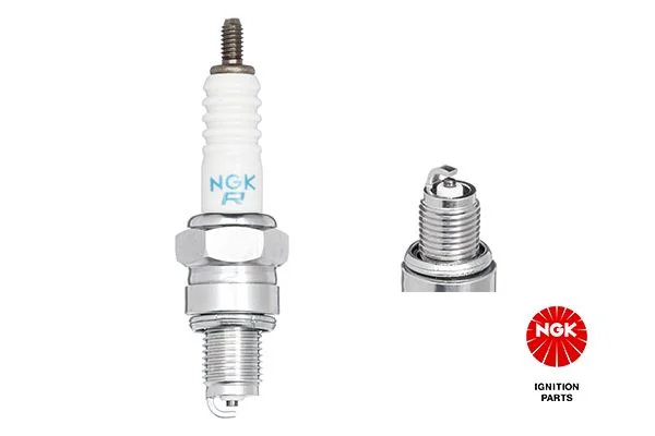 Spark Plug NGK 4549
