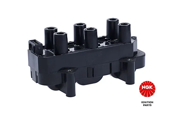 Ritė, uždegimas NGK 48096