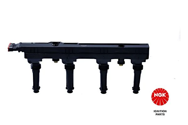 Ritė, uždegimas NGK 48135