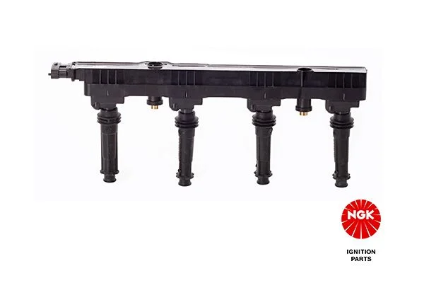 Ritė, uždegimas NGK 48159