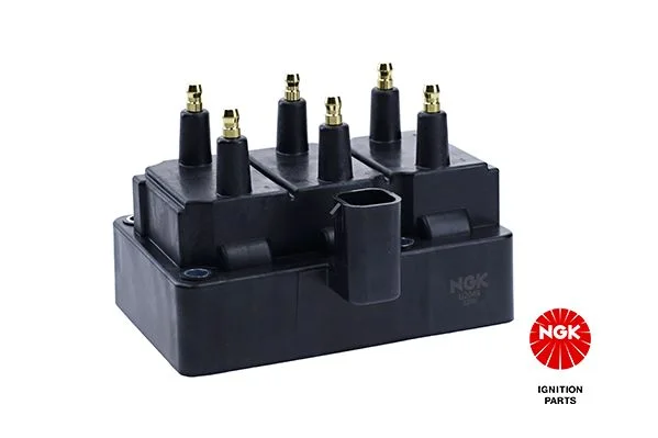 Ritė, uždegimas NGK 48220