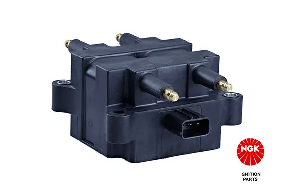Ritė, uždegimas NGK 48255