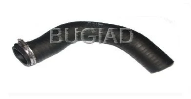 Charge Air Hose BUGIAD 81640